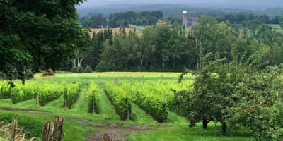 domaine_valbrome_1