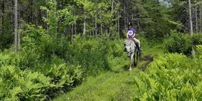 equitation_dawson_1