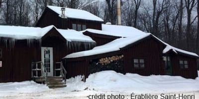erabliere_saint_henri_1