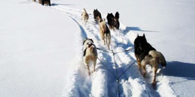 expedition_reve_blanc_1