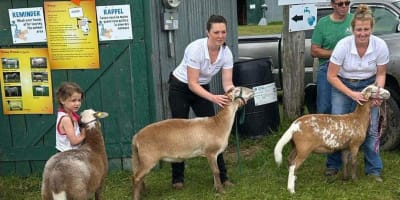 exposition_agricole_cookshire_1