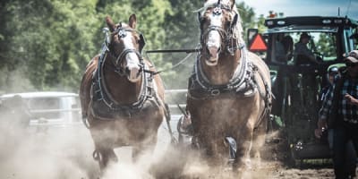 exposition_agricole_de_la_mrc_de_becancour_1