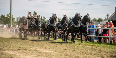 exposition_agricole_de_shawville_1