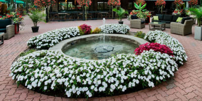 fairmont_le_chateau_montebello_1