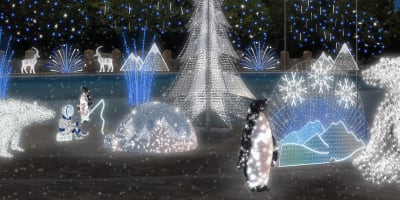 feerie_au_parc_safari_1_h
