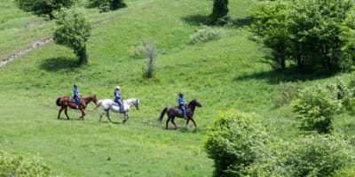 ferme_du_joual_vair_1