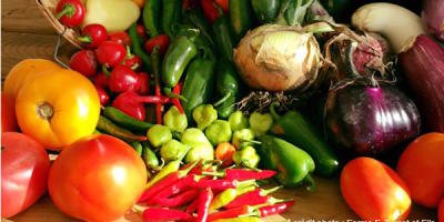 ferme_f_turcot_et_fils_1