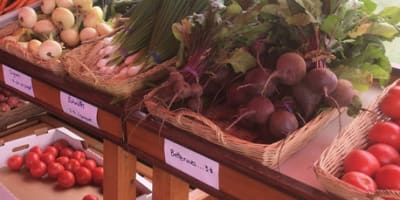 ferme_jean_claude_saint_pierre_1