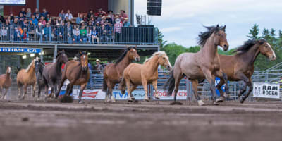 festival_country_saint_antonin_1