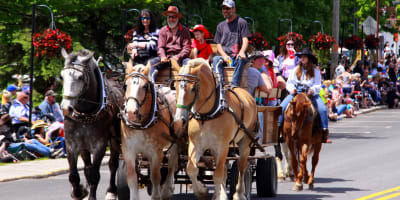festival_du_cheval_de_princeville_1