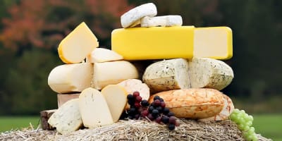 fromagerie_du_petit_plaisir_1
