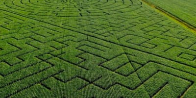 grand_labyrinthe_kamouraska_1