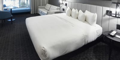 hilton_montreal_bonaventure_1