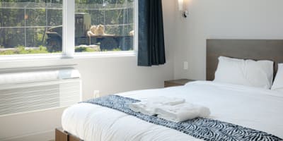 hotel_de_la_cite_perdue_1