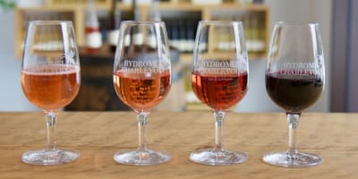 hydromel_charlevoix_1
