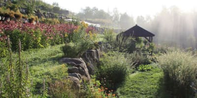 la_clef_des_champs_herboristerie_1