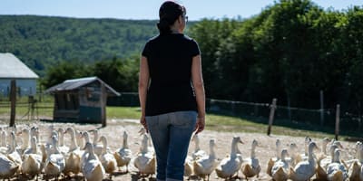 la_ferme_basque_de_charlevoix_1