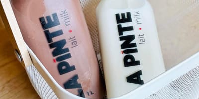 la_pinte_1