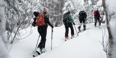 la_randonnee_alpine_dans_brome_missisquoi_1_h