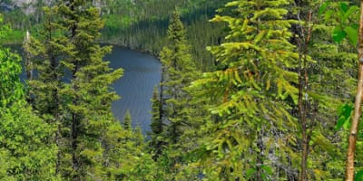 la_traversee_de_charlevoix_1
