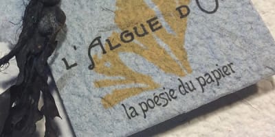 lalgue_dor_1