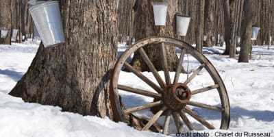 le_chalet_du_ruisseau_inc_1