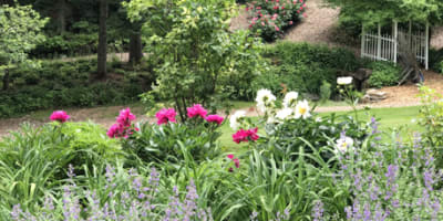 le_jardin_de_francois_1