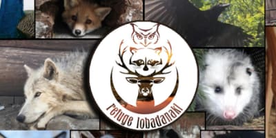 le_refuge_lobadanaki_1