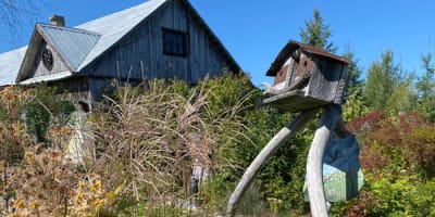 les_jardins_de_saint_maurice_1