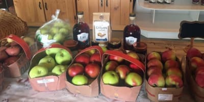 les_roy_de_la_pomme_enr___cidrerie_du_haut_st_jean_1