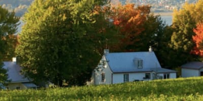 les_tours_de_lile_dorleans_1