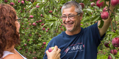 les_vergers_la_tete_dans_les_pommes_1