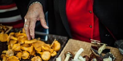 marche_agroalimentaire_de_val_david_1