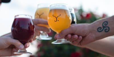 microbrasserie_jackalhop_1