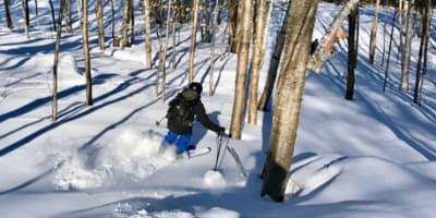 mont_alta_1_h