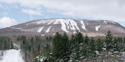 mont_comi_1_h