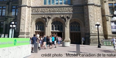musee_canadien_de_la_nature_1