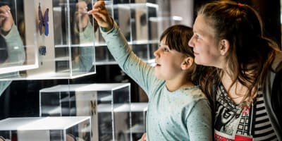 musee_de_la_nature_et_des_sciences_de_sherbrooke_1
