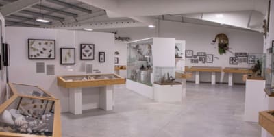 musee_du_coquillage_1