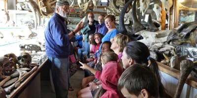 musee_du_squelette_1