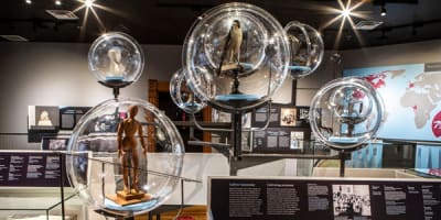 musee_marguerite_bourgeoys_1