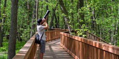 observation_ornithologique_de_nicolet_yamaska_1