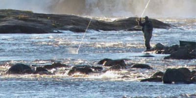 parc_de_la_riviere_aux_rochers___piege_a_saumon_1