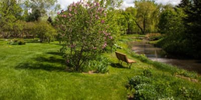 parc_des_lilas_1