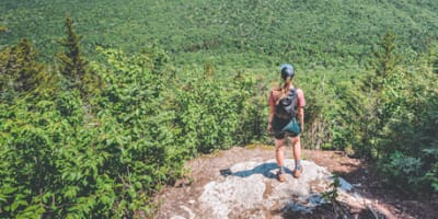 parc_du_massif_du_sud_1