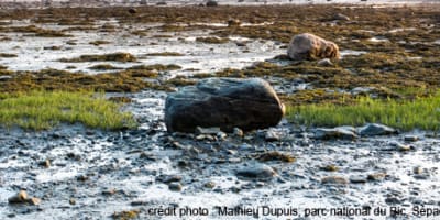 parc_national_du_bic_1