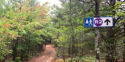 parc_nature_les_forestiers_de_saint_lazare_1_a