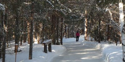 patinoire_en_foret_au_coeur_du_lac_des_loups_1