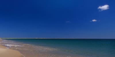 plage_de_la_grande_echouerie_1