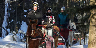 poney_des_neiges_1